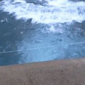 Meet your Posher, Lila